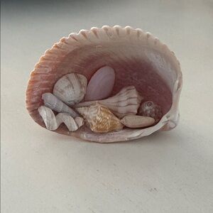 Seashell Decor